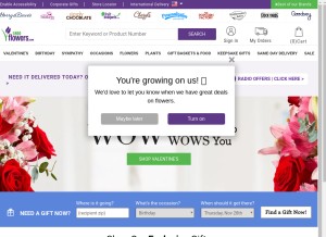 How 1800flowers-uat.net looks like on a tablet such as an iPad.