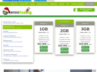 Screenshot of benzahosting.cl