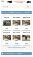 How 1cheval.com looks like on a mobile device such as an iPhone.
