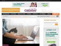 Desktop screenshot for catster.com