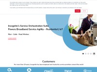 Desktop screenshot for incognito.com