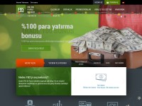 Desktop screenshot for fbs-tur.trade