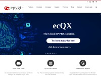 Desktop screenshot for epygi.com