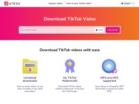 Desktop screenshot for wtiktok.com