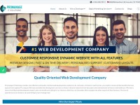 Desktop screenshot for promanageitsolution.com