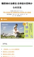 How 3048.com looks like on a mobile device such as an iPhone.