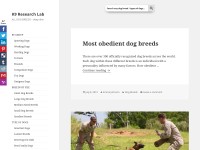 Desktop screenshot for k9rl.com