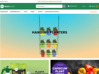 Desktop screenshot for trustbasket.com