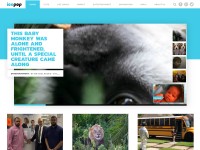 Desktop screenshot for icepop.com