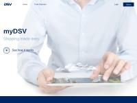 Desktop screenshot for mydsv.com
