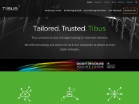 Desktop screenshot for tibus.net