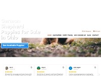 Desktop screenshot for shepherdkingdom.com