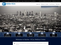 Desktop screenshot for harbor-ucla.org