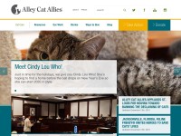 Desktop screenshot for alleycat.org