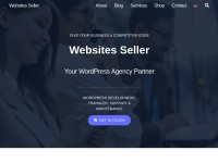 Desktop screenshot for websitesseller.com