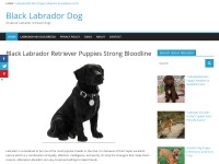 Desktop screenshot for labradorinblack.com