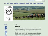 Desktop screenshot for ilstatestockhorse.org
