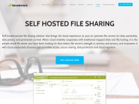 Desktop screenshot for gladinet.com