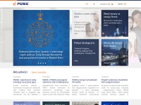 Desktop screenshot for pgnig.pl