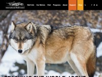 Desktop screenshot for wolf.org