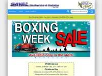 Desktop screenshot for sayal.com