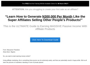 How 48hrbucks.com.ng looks like on a tablet such as an iPad.
