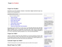 Screenshot of trapezsacfiyatlari.net