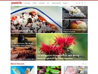 Desktop screenshot for postris.com
