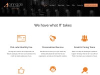 Desktop screenshot for pintechfw.com
