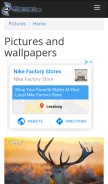 How 4everstatic.com looks like on a mobile device such as an iPhone.