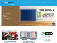 Screenshot of temizpetek.net