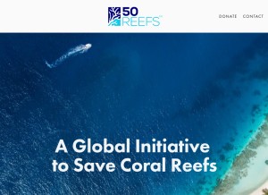 How 50reefs.org looks like on a tablet such as an iPad.