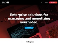 Desktop screenshot for brid.tv