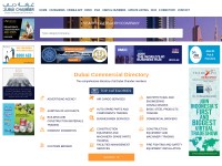 Desktop screenshot for dcciinfo.ae