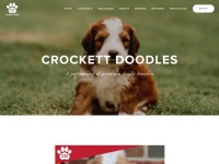Desktop screenshot for crockettdoodles.com