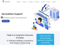 Desktop screenshot for fidelsoftech.com
