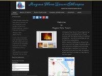 Desktop screenshot for magmaflowtoursethiopia.com