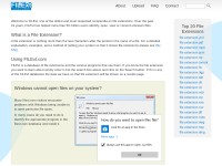 Desktop screenshot for filext.com
