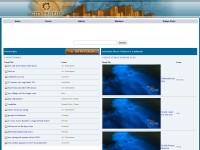 Desktop screenshot for cityprofile.com