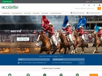 Desktop screenshot for gocollette.com