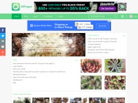 Desktop screenshot for lrgarden.com