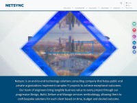 Desktop screenshot for netsyncnetwork.com