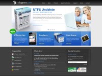 Desktop screenshot for esupport.com