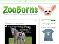 Desktop screenshot for zooborns.com