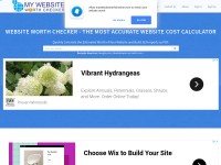 Desktop screenshot for mywebsiteworthchecker.com
