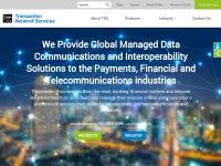 Desktop screenshot for tnsi.com