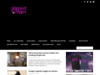 Desktop screenshot for slappedham.com