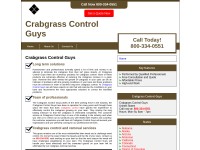 Desktop screenshot for crabgrasscontrolguys.com