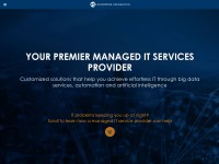 Desktop screenshot for entint.com