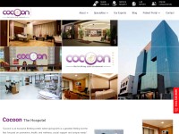 Desktop screenshot for cocoon.co.in